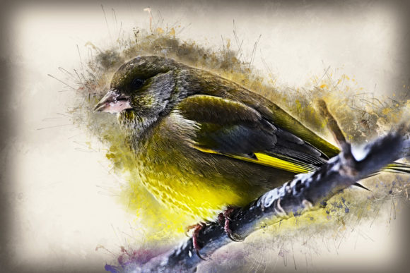 Download Grunge Style Bird Printable Graphics 04 - Bird printable Collection
