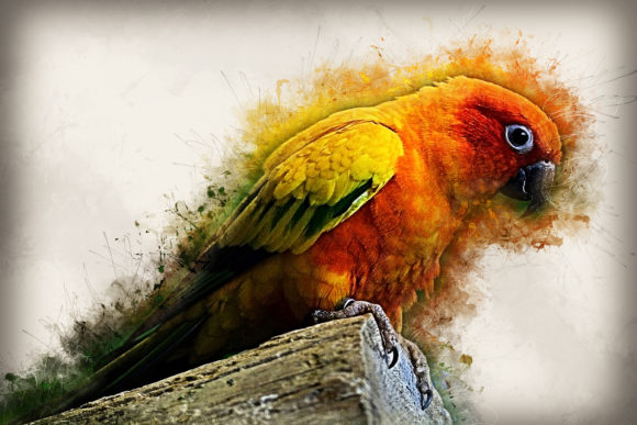 Download Grunge Style Bird Printable Graphics 08 - Bird printable Collection