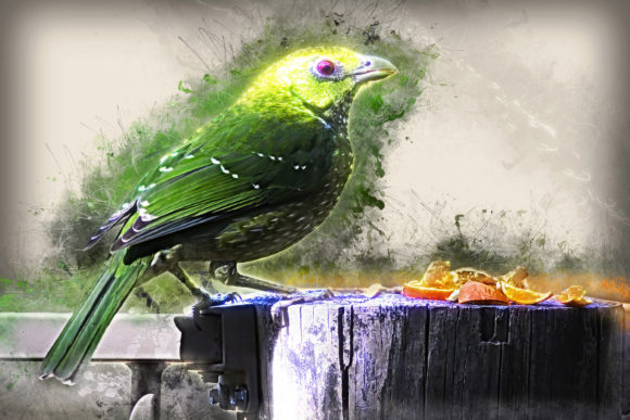 Download Grunge Style Bird Printable Graphics 01 - Bird printable Collection