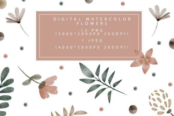 Download Collection of Watercolor Floral Elements - Collection Collection