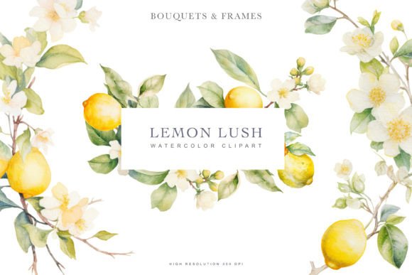 Download Watercolor Lemon Clipart Collection - Collection Collection