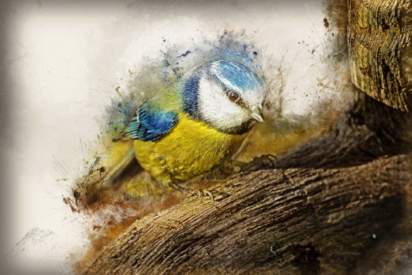 Download Grunge Style Bird Printable Graphics 05 - Bird printable Collection