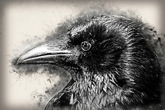 Download Grunge Style Bird Printable Graphics 06 - Bird printable Collection