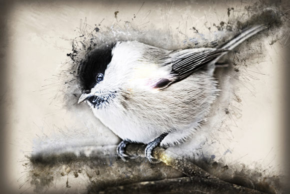 Download Grunge Style Bird Printable Graphics 10 - Bird printable Collection