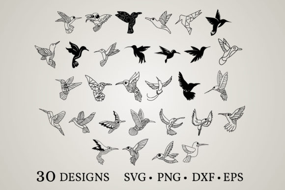 Download Hummingbird Bundle&nbsp;&nbsp; - Hummingbird bundle Collection